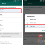 Fungsi dan Maksud Terakhir Dilihat di WhatsApp